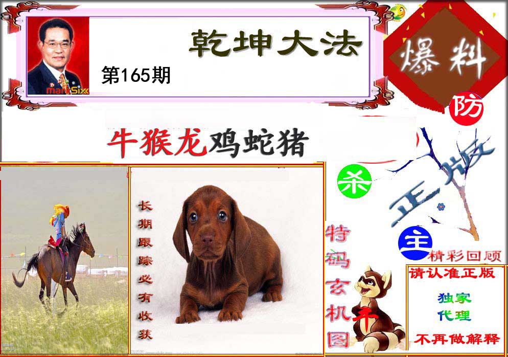 王中王论坛